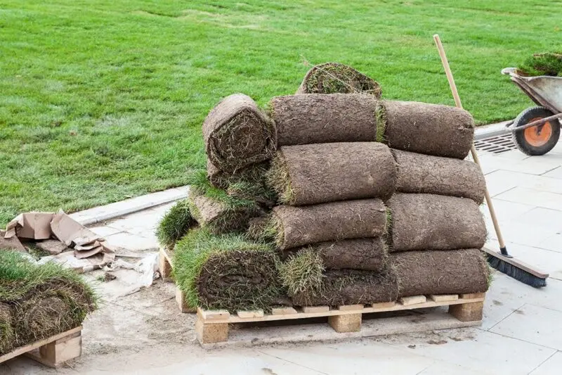 Lawn Turfing